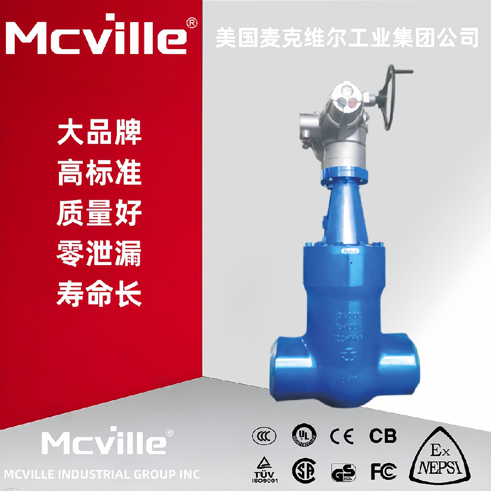 进口电动电站闸阀功能