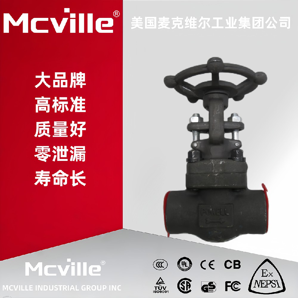 进口高压锻钢闸阀作用和原理