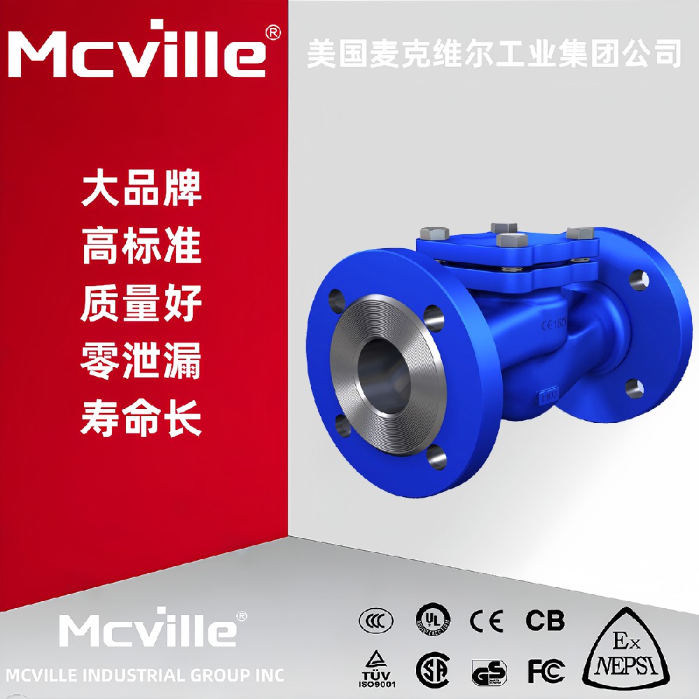进口法兰止回阀作用和选型