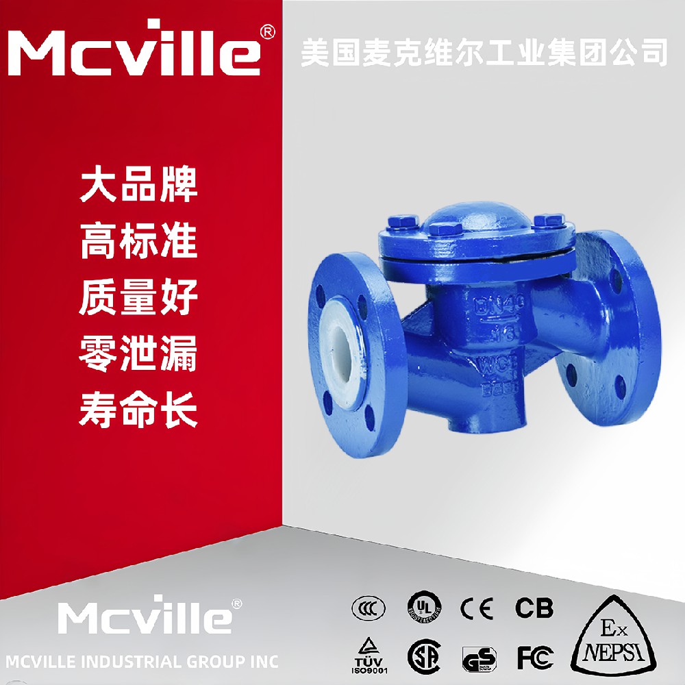 进口防腐止回阀原理和特点